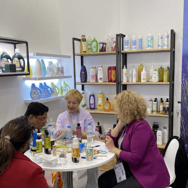 Understanding Your Vision