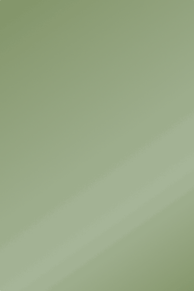 House Cleaning & Care