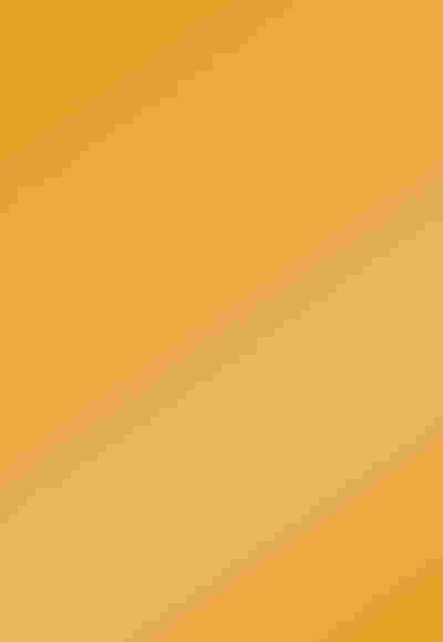 NET(S) All Purpose Cleaner