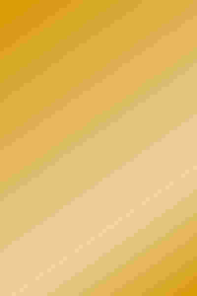 Fabric Cleaning & Care