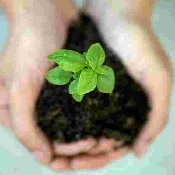 Commitment to Sustainability