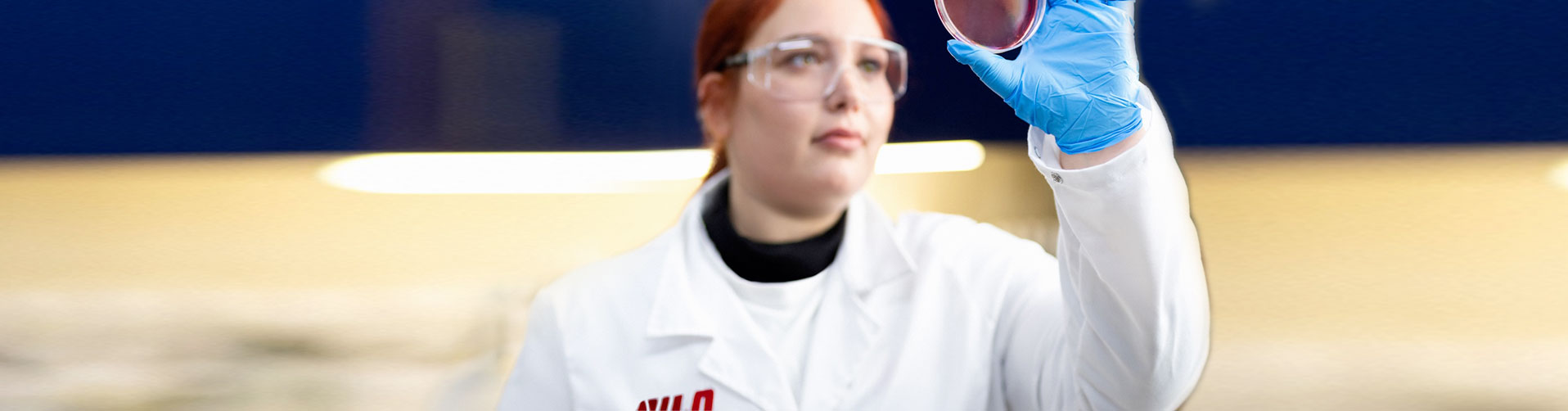 Research & Development