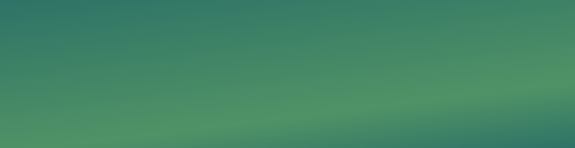 Velvet Disinfectant – Germicide 4 in 1 4Lt